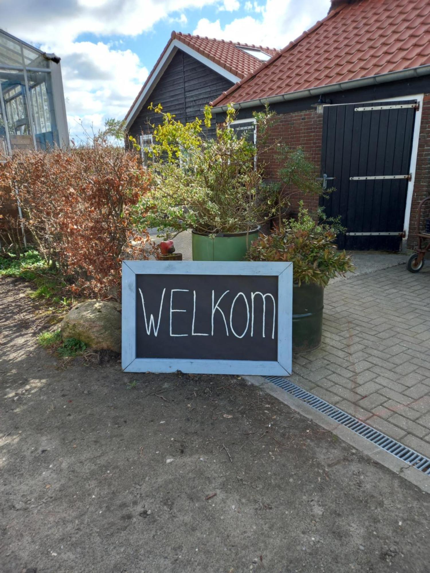 B&B Aan De Fjildwei Rinsumageest Eksteriør bilde